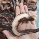 건양건어물 이미지