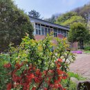 희망영농 이미지