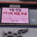 Y짐 이미지