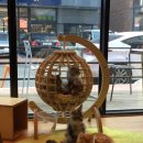 메인쿤 하우스 이미지