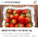 다인농장2 이미지