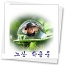 노성약방 네이버블로그