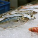 비엠(BM) 이미지