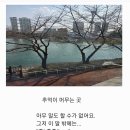 ＜위로의 순간＞ 마음공간 2 (L.T.) ㅡ사물을 바라보는 즉흥 시선 이미지