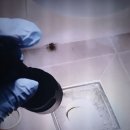 지장로11번길 | 평택하수구막힘 24시간 출동 서비스로 욕실 하수구 막힘 문제 완벽 해결 후기