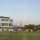 오리지널 87닭강정 소사점 | [ 경주보문단지맛집 / 경주현지인맛집 ] 경주 닭강정 맛집 ‘87닭강정 경주보문점’ 후기