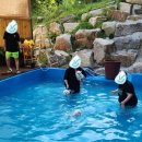 누리다 애견펜션 이미지