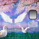 낙동강관리본부-1 이미지