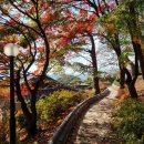 테크메딕스 이미지