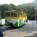 태종대한의원 네이버블로그