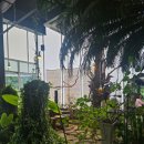 식물원옆카페 이미지