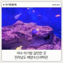 여수 아기랑 해양수산과학관 이쿠아리움 물고기 관람 갓성비 최고의 관광지!!