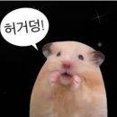 레드플라워(RED FLOWER) | 북촌 모닝 레이브 by YLESS x Project 120130 Vol.5