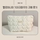 헬로미니미 기저귀파우치(기저귀가방 이너백) 구매 후기