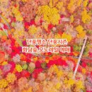 화담숲 가을 단풍명소 경기도 광주 가볼만한곳 곤지암 이미지