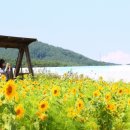 고성군농업기술센터 이미지