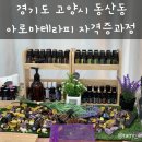 윤소팝하우스