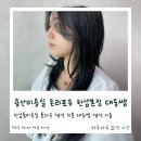 대웅미용실 | 용산미용실 톤다운 염색 전문 대웅쌤 다크브라운 염색후기 온리포유 한남본점