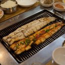 대교장어 이미지
