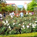 가음정사거리 이미지