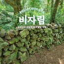 제주특별자치도 돌문화공원관리소 | 제주 비자림 입장료 및 추천 코스 정리｜아이와 유모차 가능한 숲길 여행