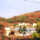 에코팜농장 이미지