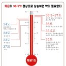 성호리조트사우나 이미지