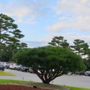 대영베이스컨트리클럽 이미지