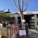 한잔비어 | 🍺 전주 한옥에서 즐기는 낭만 한 잔, '노매딕비어가든' (Nomadic Beer Garden) 솔직 후기