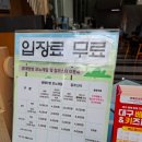 모노랜드 | 구미 아이랑 가을나들이, 구미에코랜드 자연 속 힐링 모노레일 체험 후기