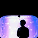 댕댕이모 이미지