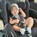 엔젤피자 이미지