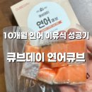 단우유통 | 10개월 아기 이유식 후기👶🏻 비린내 없이 고소한 큐브데이 연어 이유식 만들기