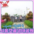 갯골생태공원(인포센터) | 하루종일 있어도 질리지가 않은 시흥 아이와 방문하기 좋은 시흥갯골생태공원