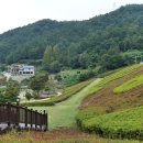 동구리호수공원잔디광장 이미지