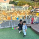 마추피추 | 대구근교 밀양 키즈펜션 마추피추펭글루 추천, 분수 물놀이 가능 '페페' 룸 후기