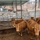 제천농장 이미지