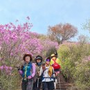 영취산진례봉(510m), 영취봉(436.6m) / 전남 여수 이미지