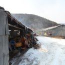 문성축사 이미지