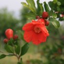 도촌농장 이미지