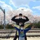 비바이크