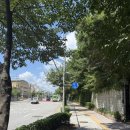 벽운클럽 | 서울 뚜벅이 계곡 추천 수락산 벽운계곡 선녀탕(가는법, 등산, 물놀이 후기)