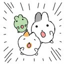 손가네정육점