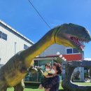 그날이후 불타는삼겹살 이미지