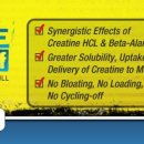 비비짐(BB짐) 이미지