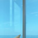 늘봄다방 이미지