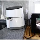 멍스타애견 이미지