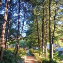 잔버들경로당 이미지