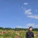 갑수씨랑 울산 슬도(슬도 대왕암공원초화단지, 해안산책로. 26.10.5. 월) 이미지