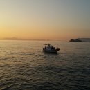 피시랑 놀자 이미지